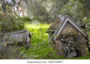 abandoned dog house